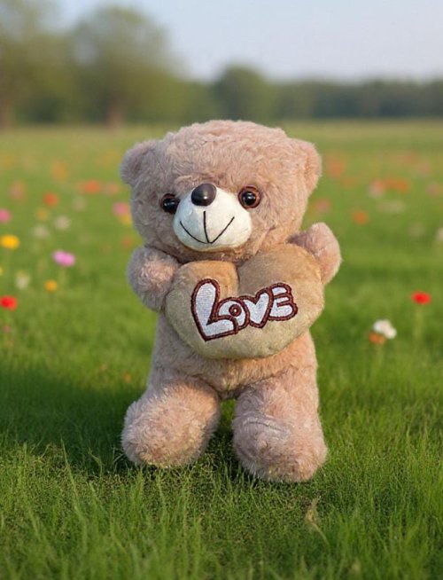 Peluche E02  Peluche en maldonado punta del este